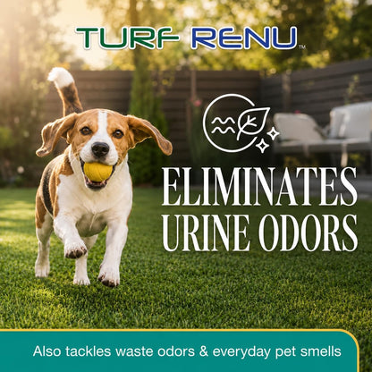 Artificial Turf Pet Stain & Odor Removal Cleaner Refill, 1 Gallon, Enzymatic Artificial Grass Cleaner for Dog Urine, Kennels & Outdoor Surfaces