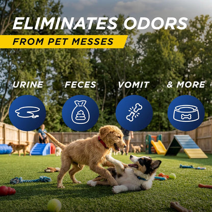 Outdoor Odor Eliminator for Pets, Dogs, For Grass, Turf, Lawns, Kennels & Dog runs, Enzyme Cleaner (1 Gallon Concentrate)