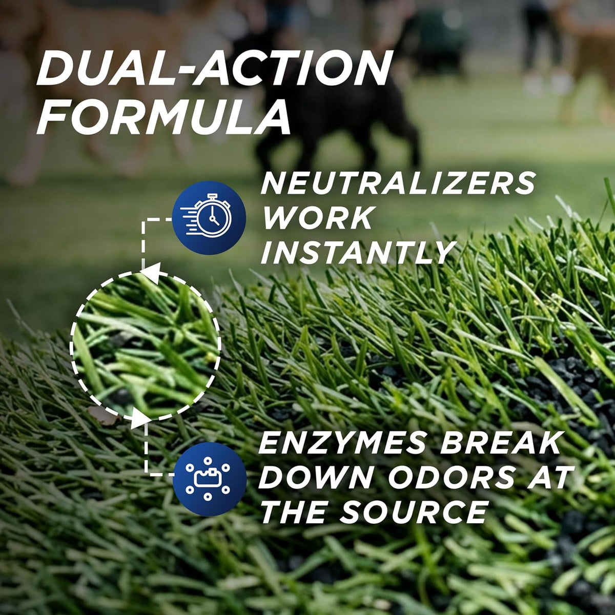 Outdoor Odor Eliminator for Pets, Dogs, For Grass, Turf, Lawns, Kennels & Dog runs, Enzyme Cleaner (1 Gallon Concentrate)