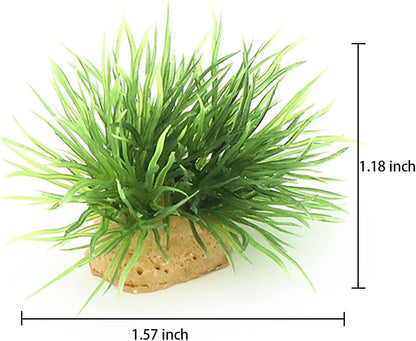 Aquarium Landscape Foreground Grass Seaweed Green Plants for Marine Freshwater Fish Tank Decoration, Pack of 10