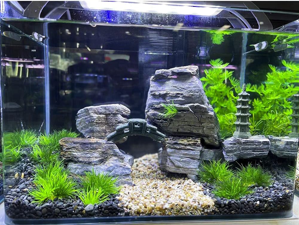 Aquarium Landscape Foreground Grass Seaweed Green Plants for Marine Freshwater Fish Tank Decoration, Pack of 10