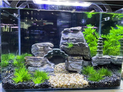 Aquarium Landscape Foreground Grass Seaweed Green Plants for Marine Freshwater Fish Tank Decoration, Pack of 10