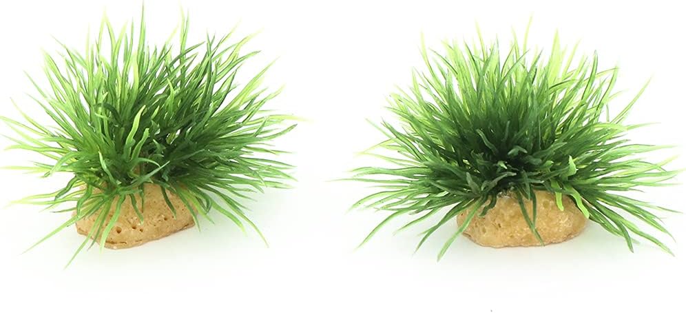 Aquarium Landscape Foreground Grass Seaweed Green Plants for Marine Freshwater Fish Tank Decoration, Pack of 10