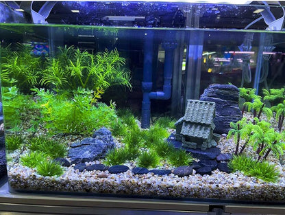 Aquarium Landscape Foreground Grass Seaweed Green Plants for Marine Freshwater Fish Tank Decoration, Pack of 10