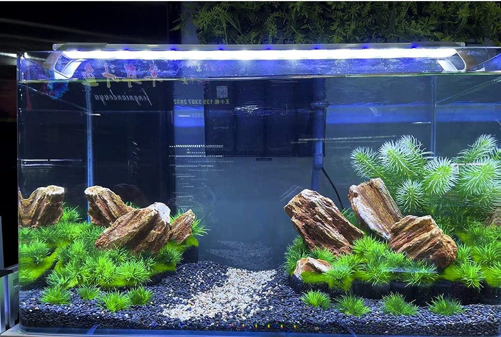 Aquarium Landscape Foreground Grass Seaweed Green Plants for Marine Freshwater Fish Tank Decoration, Pack of 10
