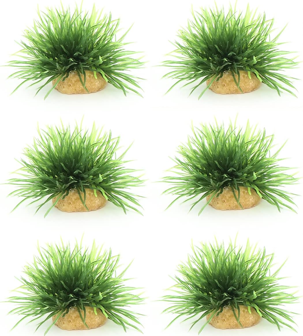 Aquarium Landscape Foreground Grass Seaweed Green Plants for Marine Freshwater Fish Tank Decoration, Pack of 10