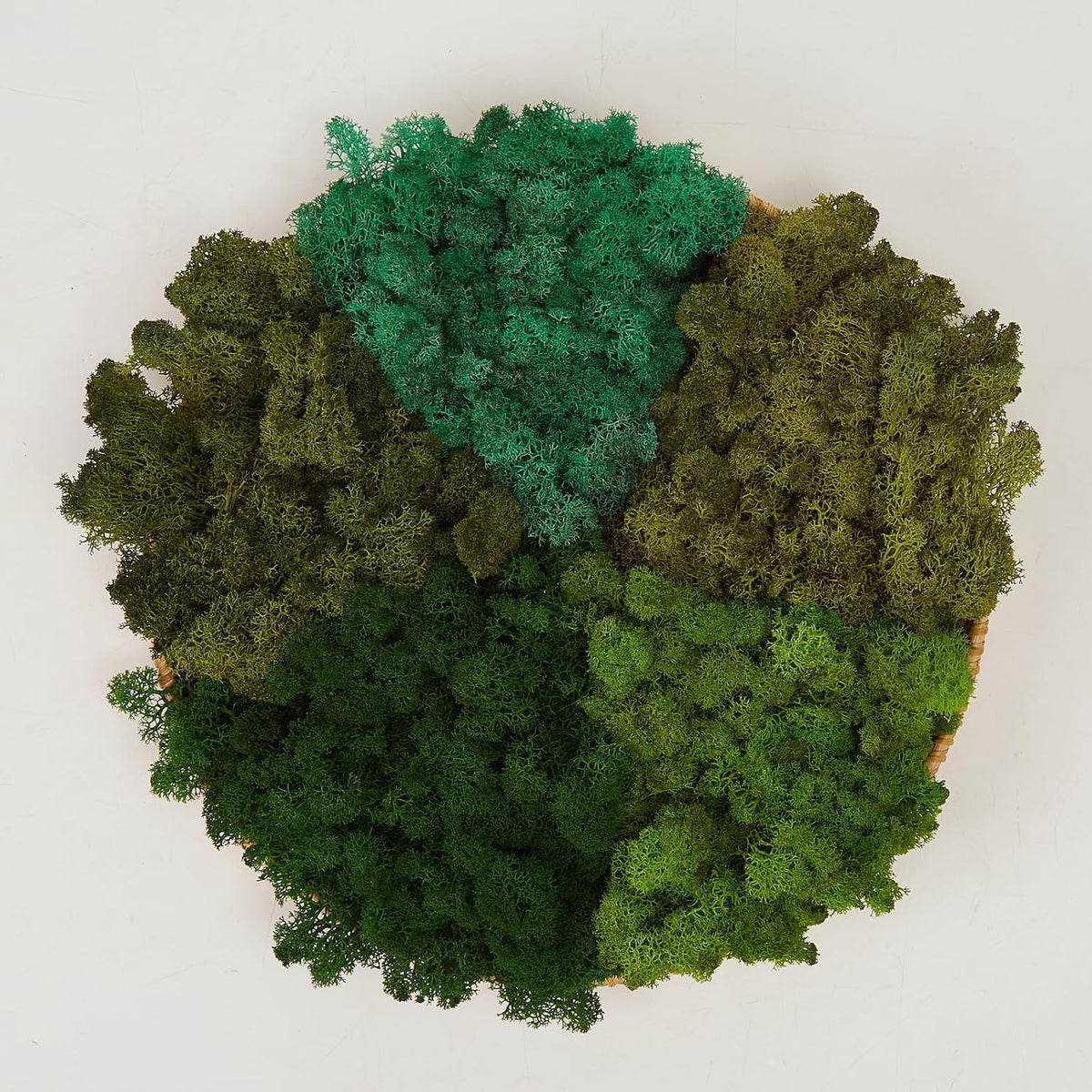Preserved Reindeer Moss Natural Green DIY Kit Gardenning Art Wall Decor Florist Decor Easter Table Decor Wedding