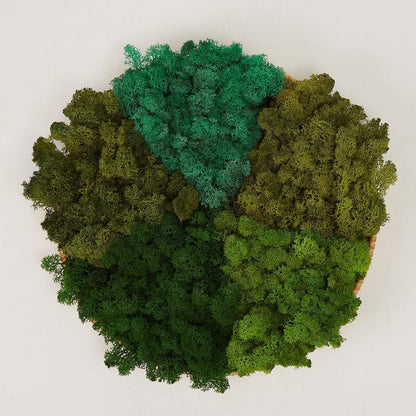 Preserved Reindeer Moss Natural Green DIY Kit Gardenning Art Wall Decor Florist Decor Easter Table Decor Wedding