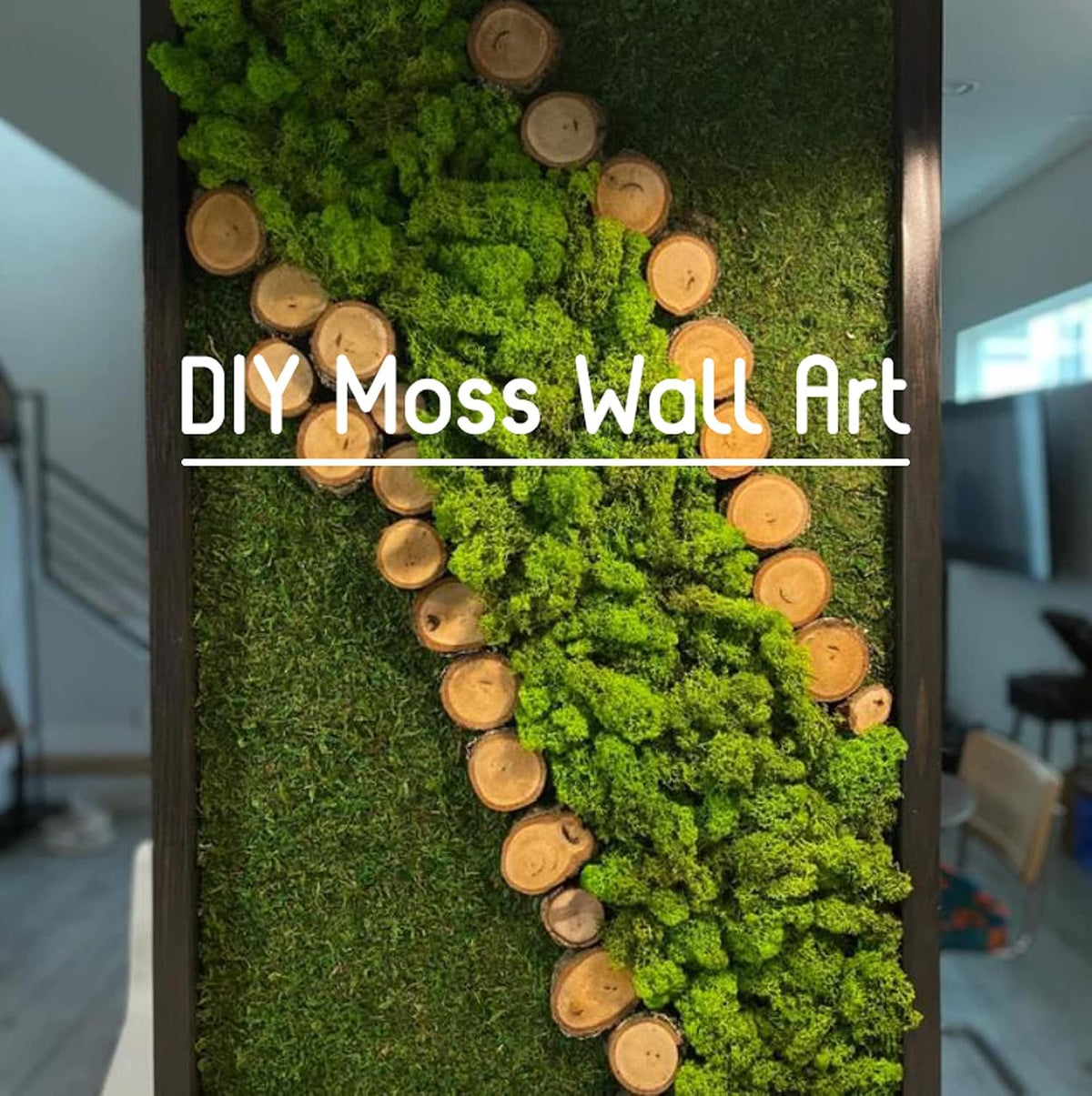 Preserved Reindeer Moss Natural Green DIY Kit Gardenning Art Wall Decor Florist Decor Easter Table Decor Wedding