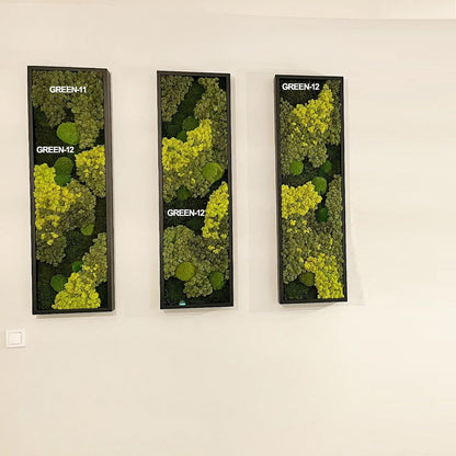 Preserved Reindeer Moss Natural Green DIY Kit Gardenning Art Wall Decor Florist Decor Easter Table Decor Wedding