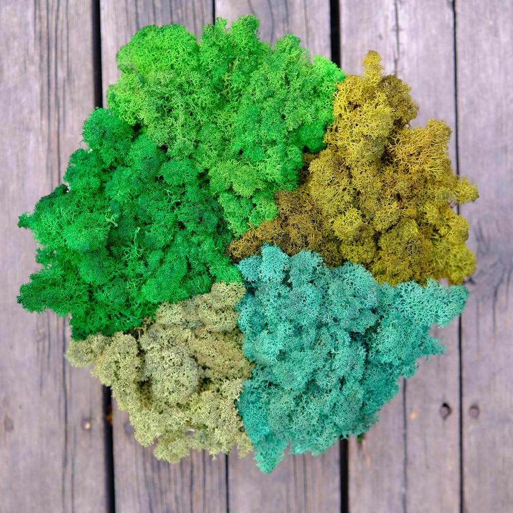 Preserved Reindeer Moss Natural Green DIY Kit Gardenning Art Wall Decor Florist Decor Easter Table Decor Wedding