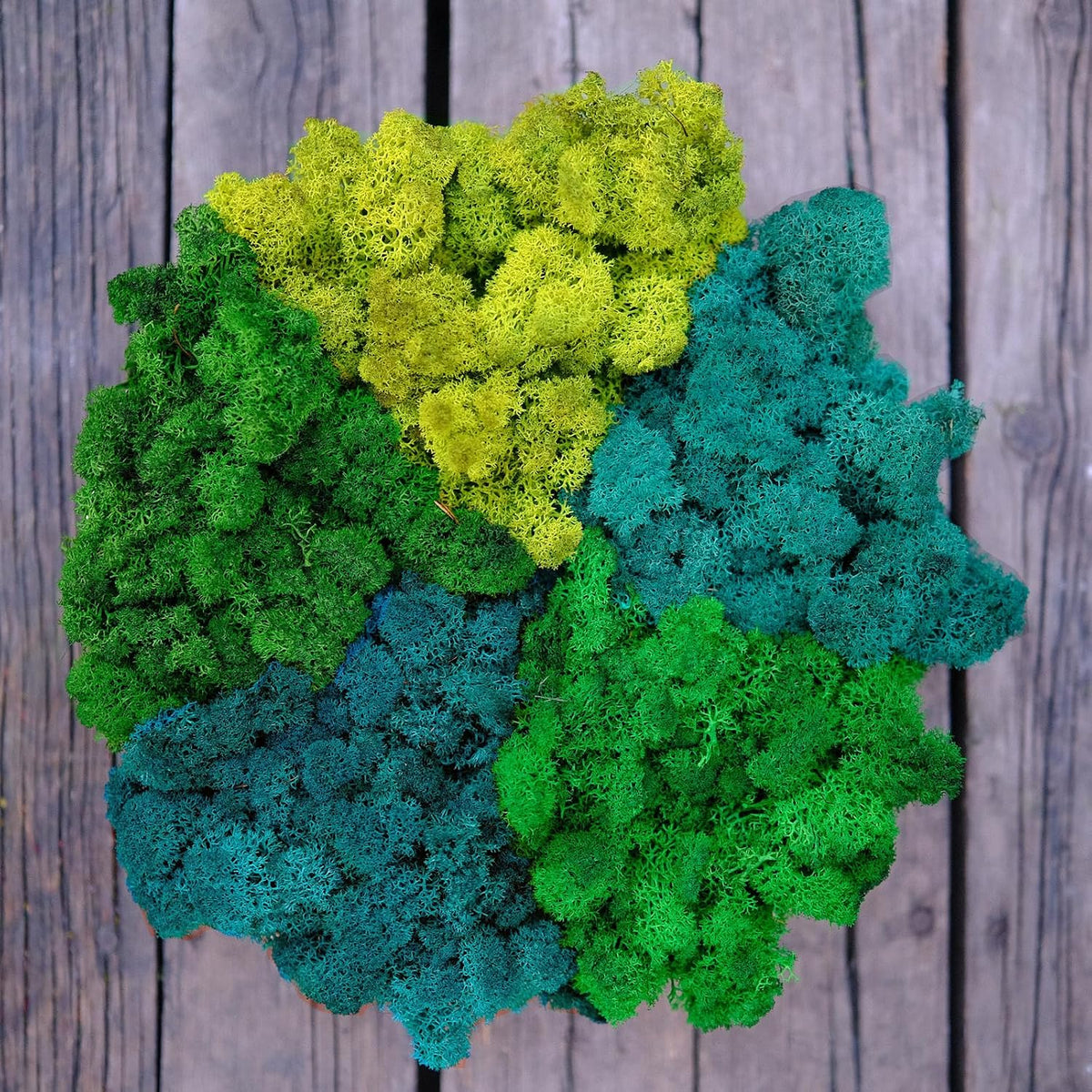 Preserved Reindeer Moss Natural Green DIY Kit Gardenning Art Wall Decor Florist Decor Easter Table Decor Wedding