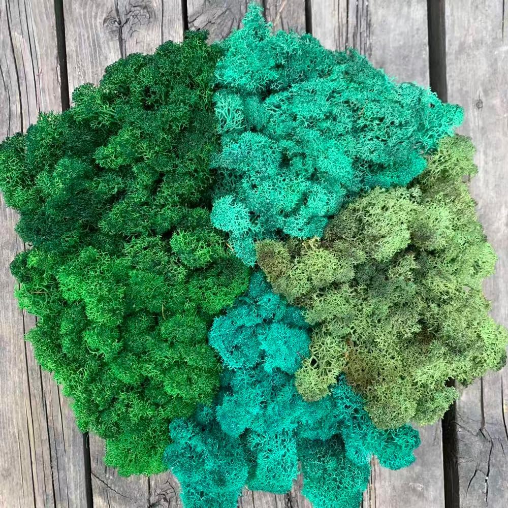 Preserved Reindeer Moss Natural Green DIY Kit Gardenning Art Wall Decor Florist Decor Easter Table Decor Wedding