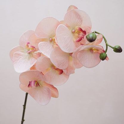 2pcs Champagne Pink Orchid Artificial Flowers, 34.3" Real Touch Fake Orchid Latex Phalaenopsis Branches for Home Party Wedding Bridal Shower Decoration