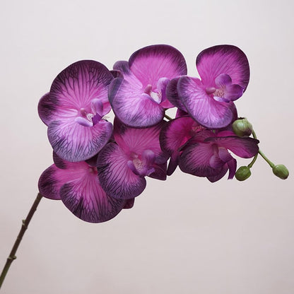 2pcs Champagne Pink Orchid Artificial Flowers, 34.3" Real Touch Fake Orchid Latex Phalaenopsis Branches for Home Party Wedding Bridal Shower Decoration