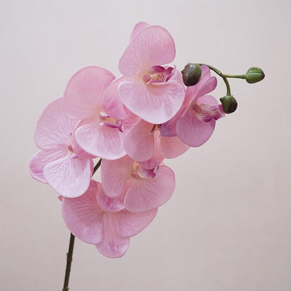 2pcs Champagne Pink Orchid Artificial Flowers, 34.3" Real Touch Fake Orchid Latex Phalaenopsis Branches for Home Party Wedding Bridal Shower Decoration