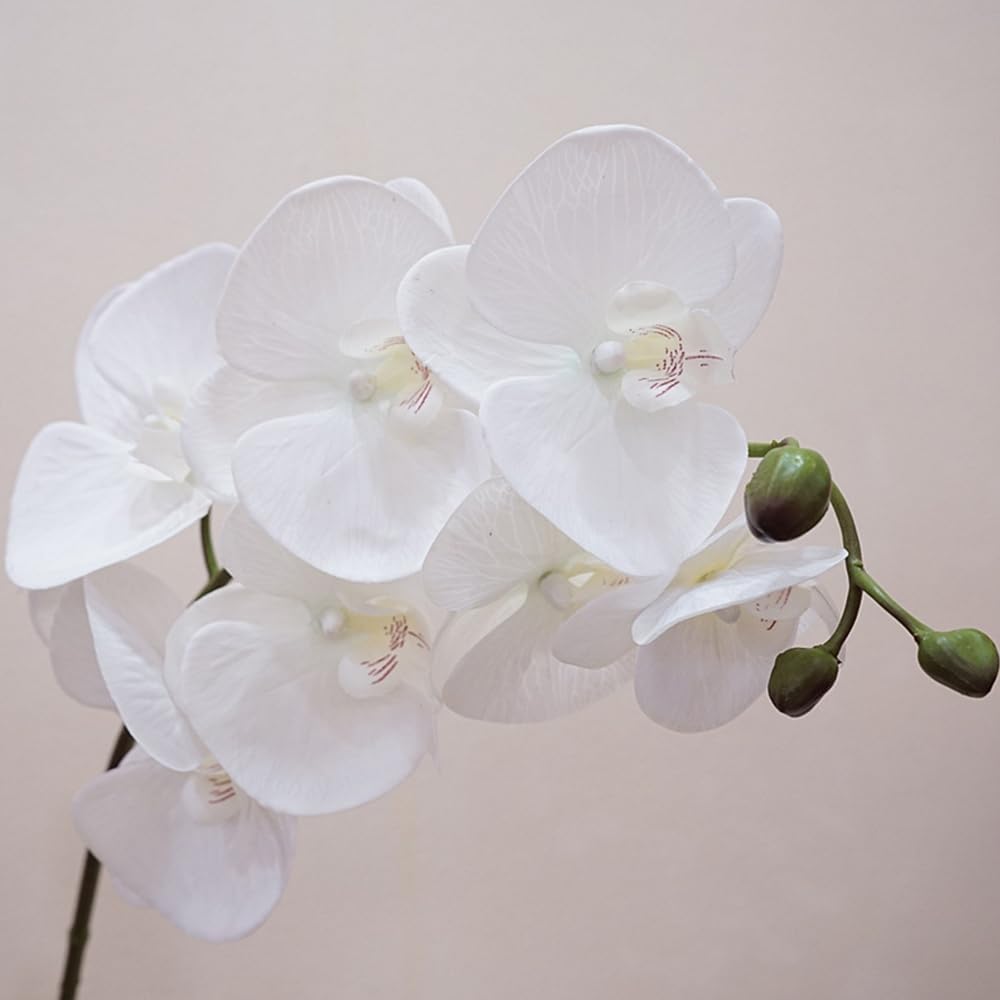 2pcs Champagne Pink Orchid Artificial Flowers, 34.3" Real Touch Fake Orchid Latex Phalaenopsis Branches for Home Party Wedding Bridal Shower Decoration