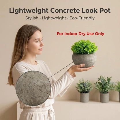 Artificial Potted Plants Faux Greenery in Cement Pots for Shelf, Bookshelf, Office or Home Decor, Small Decorative Fake Plants for Modern Indoor Display