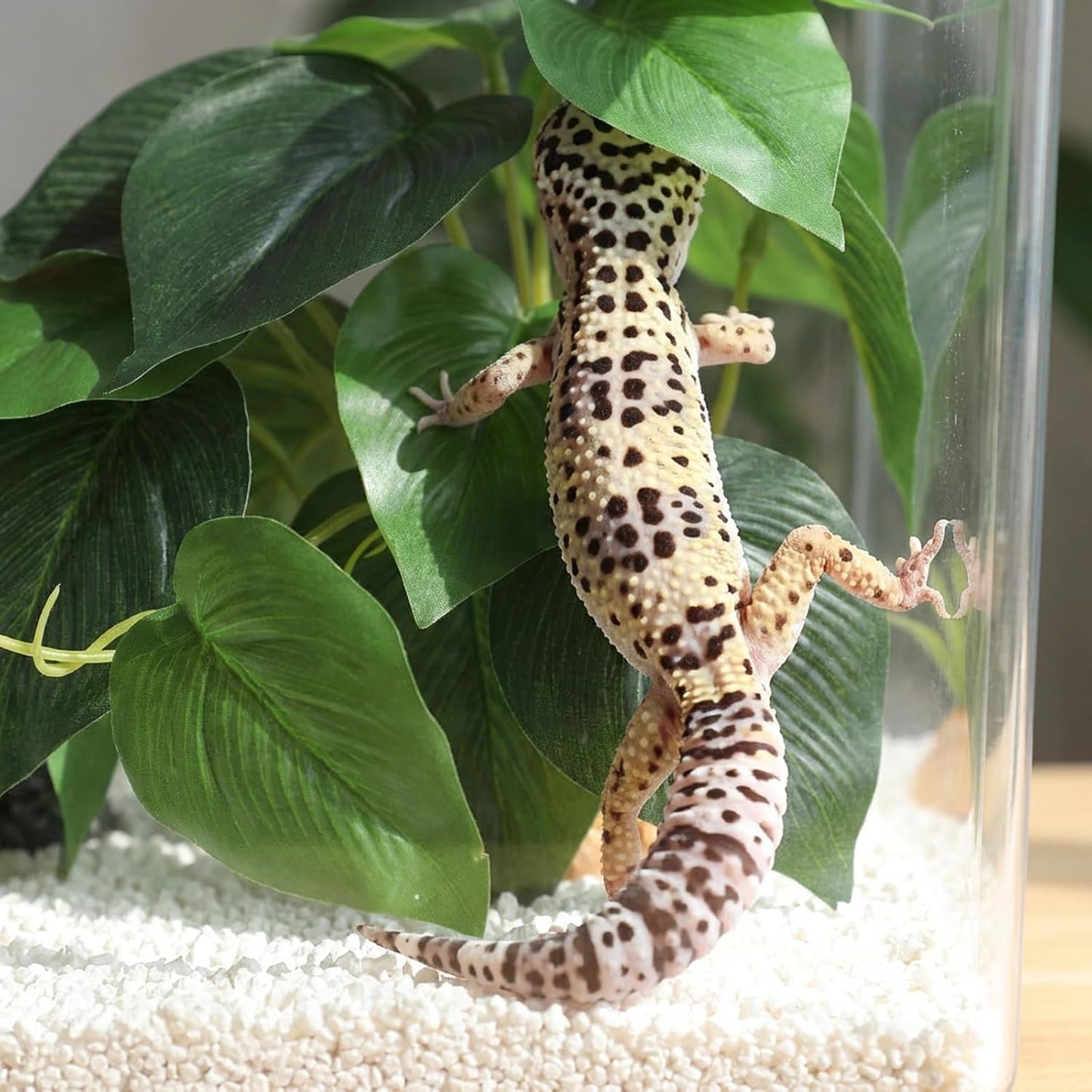 Artificial Reptile Terrarium Plants, Artificial Plant for Terrarium Fake Reptile Plants for Terrariums Plant with Suction Cup Habitat Accessories