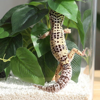 Artificial Reptile Terrarium Plants, Artificial Plant for Terrarium Fake Reptile Plants for Terrariums Plant with Suction Cup Habitat Accessories