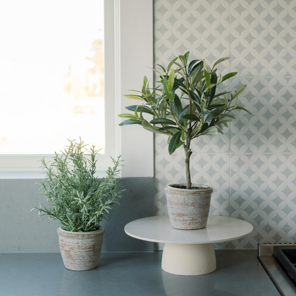 Faux Rosemary Plant & Olive Topiary, Set of 2, Grey, Home Decor
