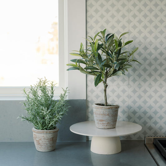 Faux Rosemary Plant & Olive Topiary, Set of 2, Grey, Home Decor