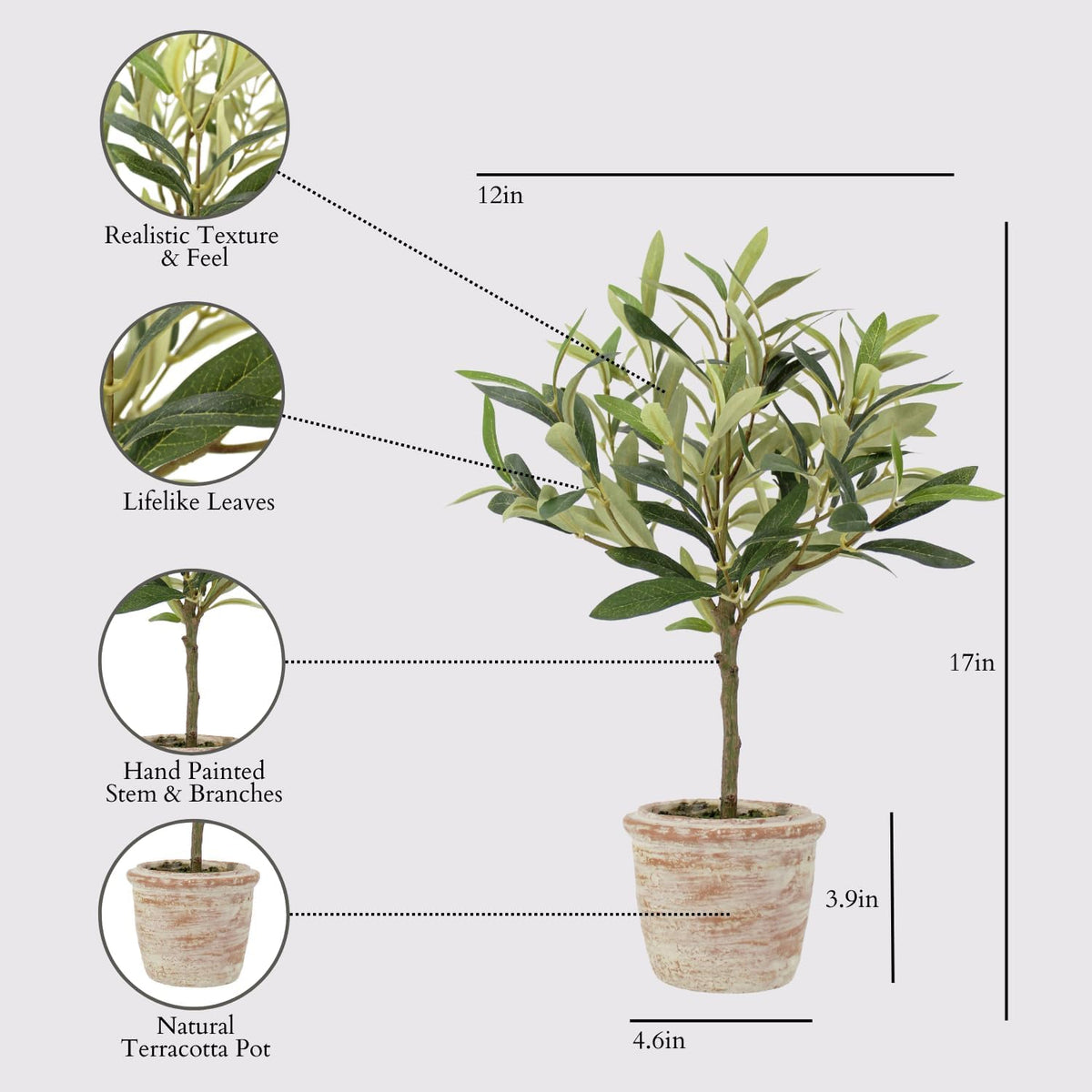 Faux Rosemary Plant & Olive Topiary, Set of 2, Grey, Home Decor