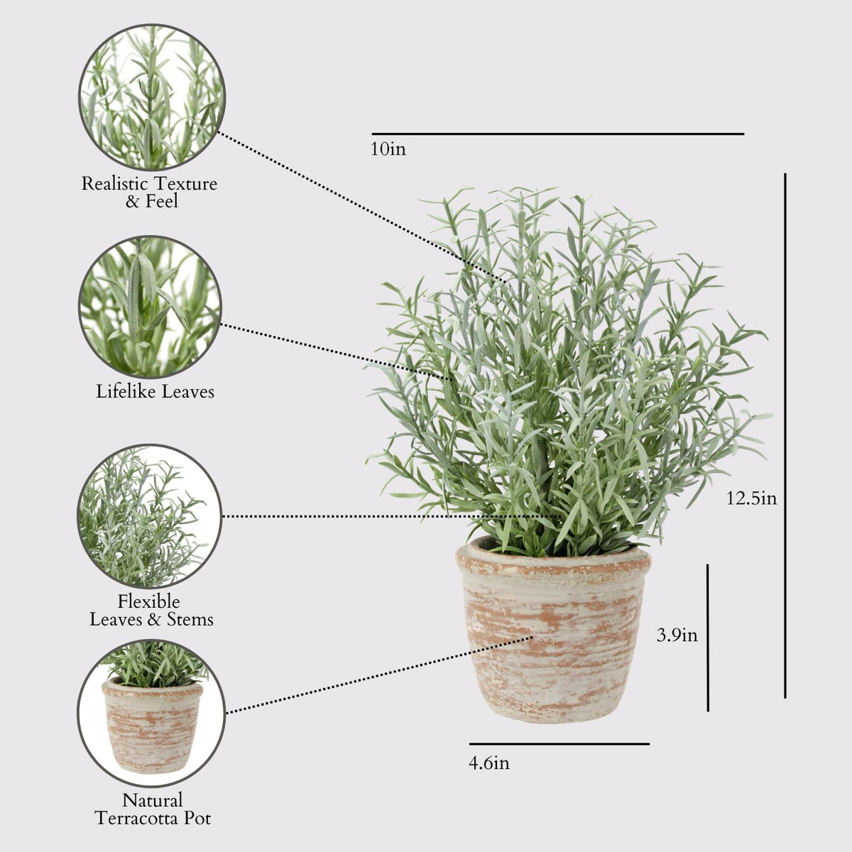 Faux Rosemary Plant & Olive Topiary, Set of 2, Grey, Home Decor