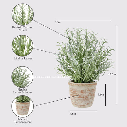 Faux Rosemary Plant & Olive Topiary, Set of 2, Grey, Home Decor