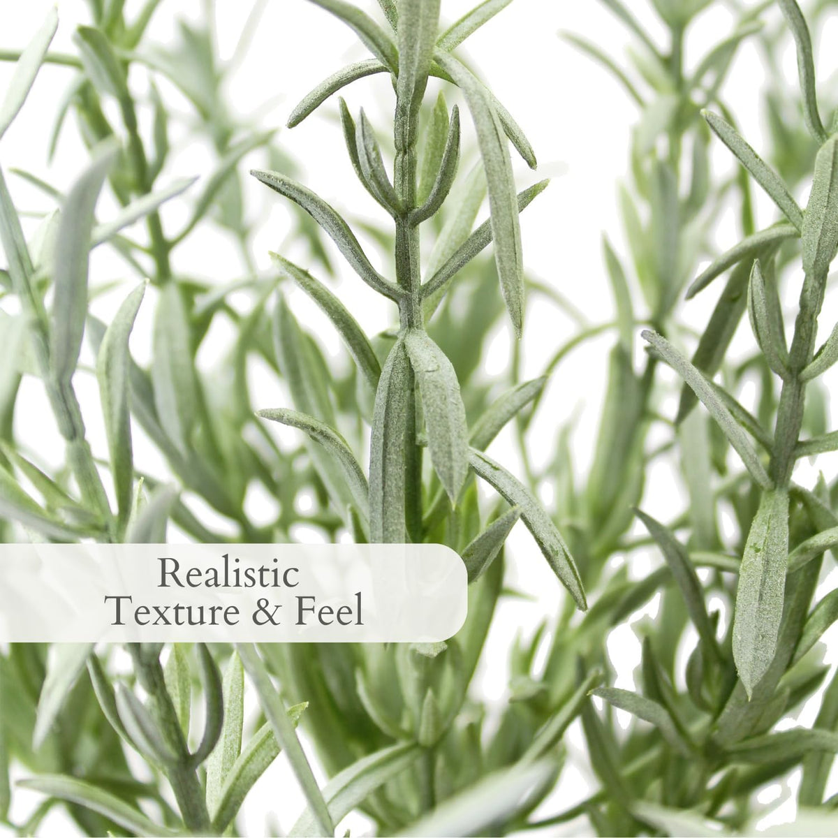 Faux Rosemary Plant & Olive Topiary, Set of 2, Grey, Home Decor