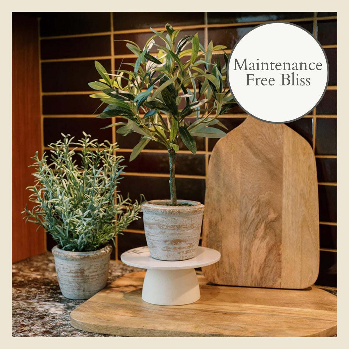 Faux Rosemary Plant & Olive Topiary, Set of 2, Grey, Home Decor