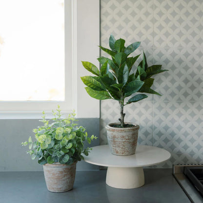 Faux Rosemary Plant & Olive Topiary, Set of 2, Grey, Home Decor