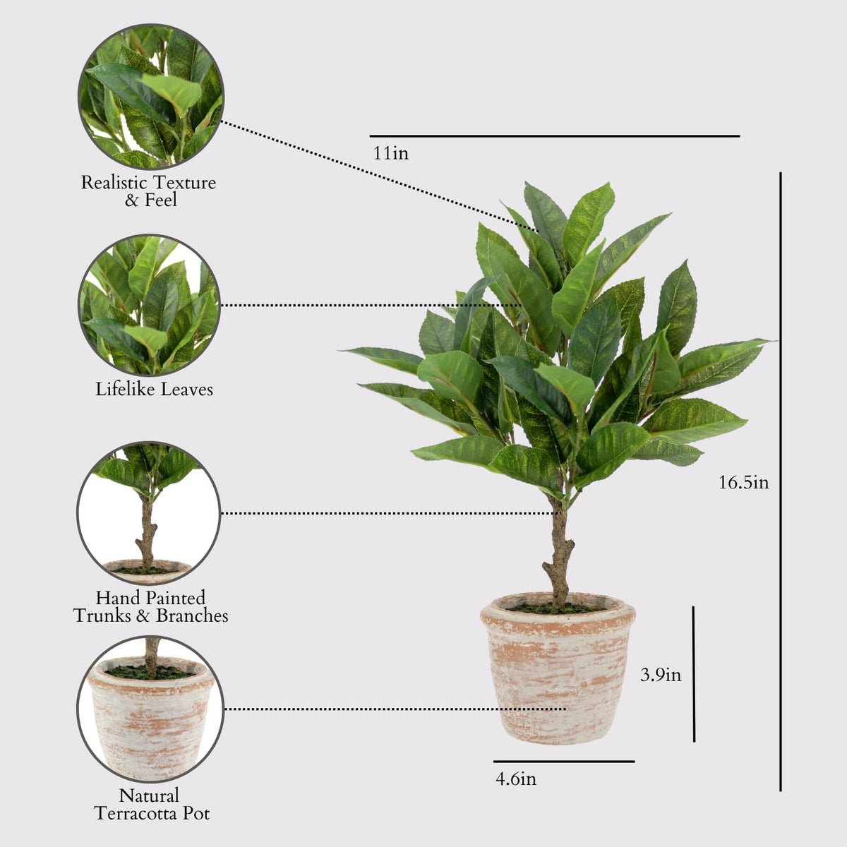 Faux Rosemary Plant & Olive Topiary, Set of 2, Grey, Home Decor