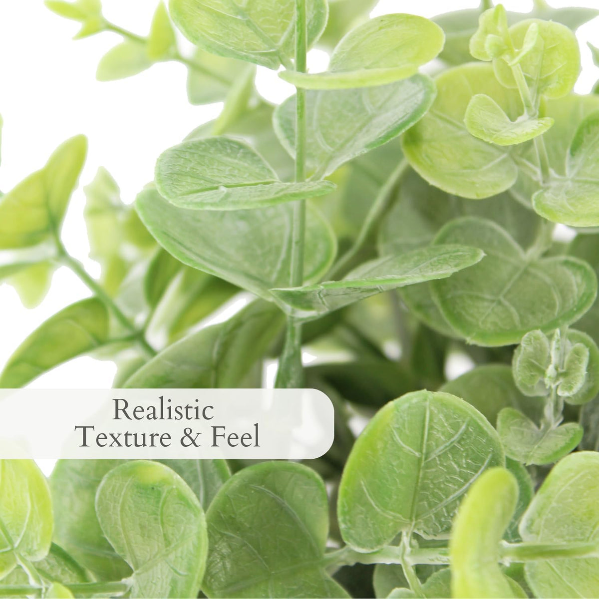 Faux Rosemary Plant & Olive Topiary, Set of 2, Grey, Home Decor