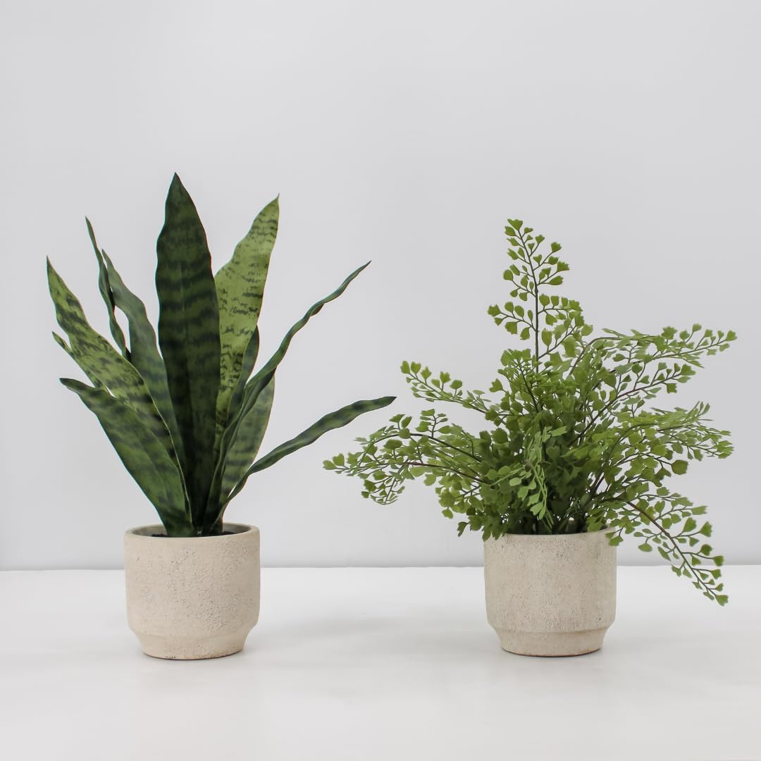 Faux Rosemary Plant & Olive Topiary, Set of 2, Grey, Home Decor