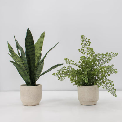 Faux Rosemary Plant & Olive Topiary, Set of 2, Grey, Home Decor