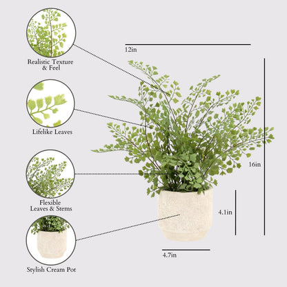 Faux Rosemary Plant & Olive Topiary, Set of 2, Grey, Home Decor