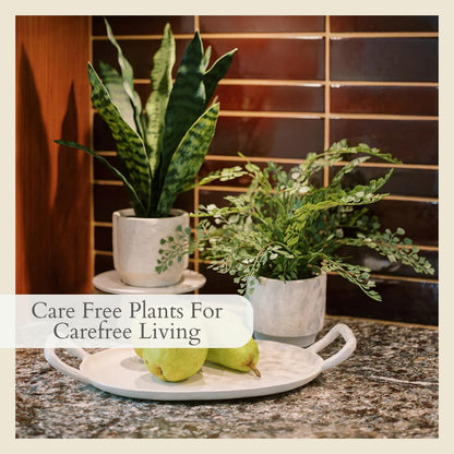 Faux Rosemary Plant & Olive Topiary, Set of 2, Grey, Home Decor
