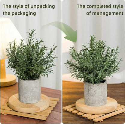 2 Pack Small Fake Plants Eucalyptus Potted,Black