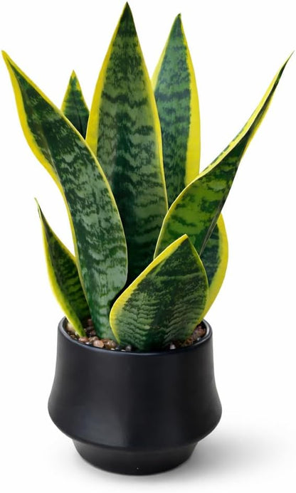 Artificial Snake Plant, Faux Sansevieria, Small Indoor Plant Decor