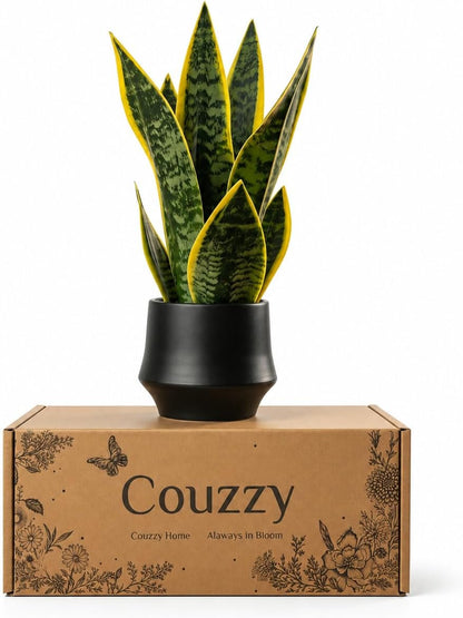 Artificial Snake Plant, Faux Sansevieria, Small Indoor Plant Decor