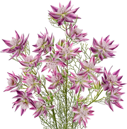 3Pcs Pink Artificial Flowers Silk 26.3" Fake Protea Flower with Long Stem Faux Flowers Arrangement Branch with 6 Heads for DIY Wedding Party Centerpiece Floral Bouquets Table Home Decor
