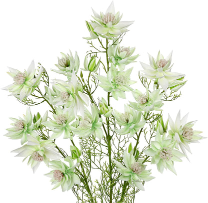 3Pcs Pink Artificial Flowers Silk 26.3" Fake Protea Flower with Long Stem Faux Flowers Arrangement Branch with 6 Heads for DIY Wedding Party Centerpiece Floral Bouquets Table Home Decor