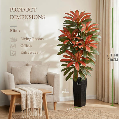 Artificial Dracaena Tree 5FT, Fake Tree with White Tall Planter