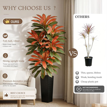 Artificial Dracaena Tree 5FT, Fake Tree with White Tall Planter