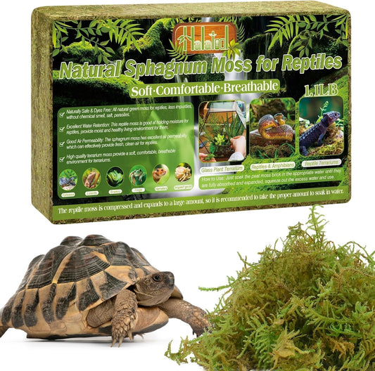 9 OZ Sphagnum Moss for Reptiles - Green Terrarium Moss | Expands to 14 QT, Reptile Bedding for Snakes, Tortoises, Geckos & Lizards, Humidity Retention & Temperature Buffering