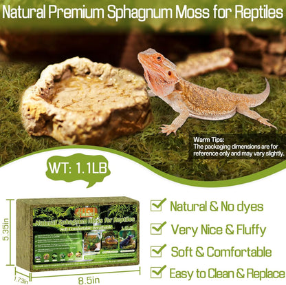 9 OZ Sphagnum Moss for Reptiles - Green Terrarium Moss | Expands to 14 QT, Reptile Bedding for Snakes, Tortoises, Geckos & Lizards, Humidity Retention & Temperature Buffering