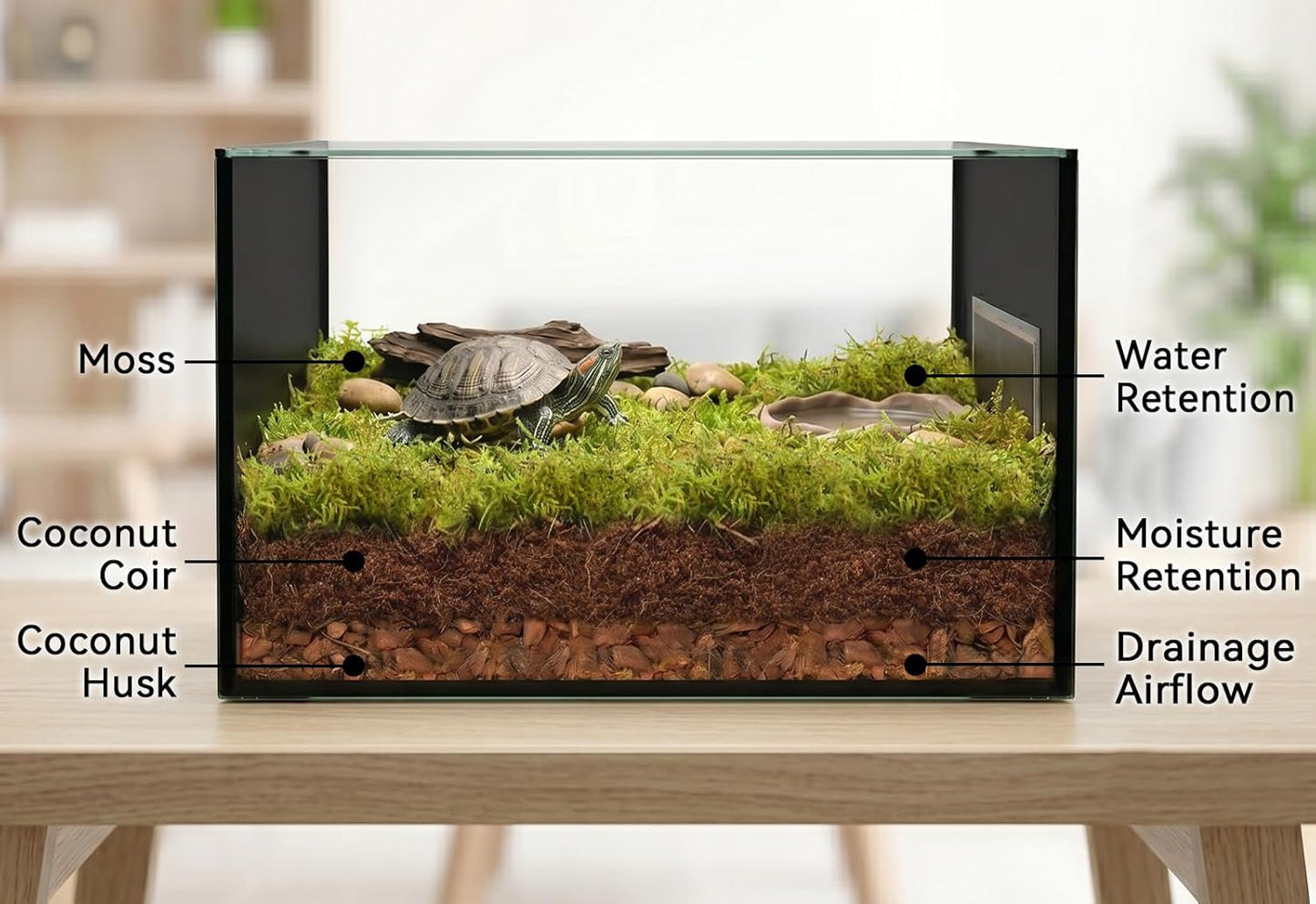 9 OZ Sphagnum Moss for Reptiles - Green Terrarium Moss | Expands to 14 QT, Reptile Bedding for Snakes, Tortoises, Geckos & Lizards, Humidity Retention & Temperature Buffering
