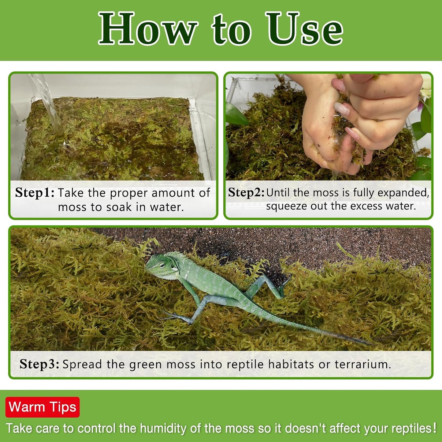 9 OZ Sphagnum Moss for Reptiles - Green Terrarium Moss | Expands to 14 QT, Reptile Bedding for Snakes, Tortoises, Geckos & Lizards, Humidity Retention & Temperature Buffering