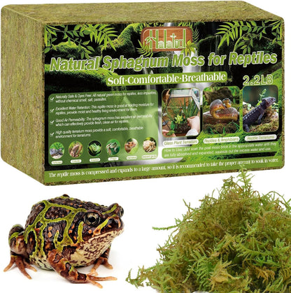 9 OZ Sphagnum Moss for Reptiles - Green Terrarium Moss | Expands to 14 QT, Reptile Bedding for Snakes, Tortoises, Geckos & Lizards, Humidity Retention & Temperature Buffering